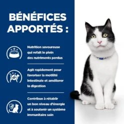 Hill's Prescription Diet Feline I/D AB+ Mijotés Poulet Et Légumes 24 X 82 Grs -Animal Compagnie Boutique 00052742039893 4 prescription diet chat i d boite 3