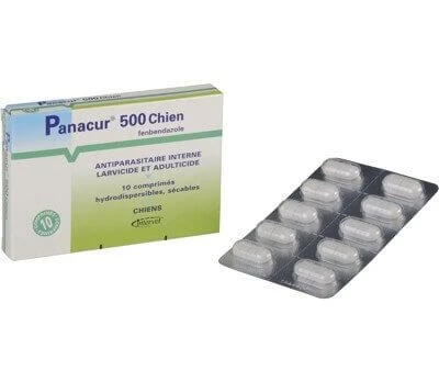 Panacur 500 Chien 10 Cps 1 Panacur 500 Chien 10 Cps