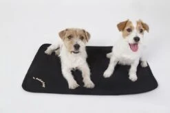 Back On Track Matelas De Cage Pour Chien 74 X 120 Cm
