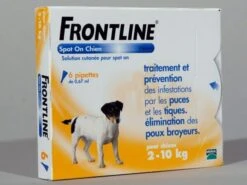 Frontline Spot On Chien De 2-10 Kg 6 Pipettes -Animal Compagnie Boutique 34fro011