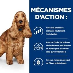 Hill's Prescription Diet Canine Z/D AB+ 3 Kg -Animal Compagnie Boutique 52742040455 5 prescription diet chien z d croquettes 1