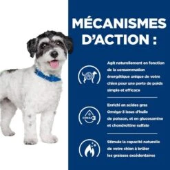 Hill's Prescription Diet Canine J/D Metabolic + Mobility Mini 6 Kg -Animal Compagnie Boutique 52742045269 4 prescription diet chien metabolic mobility mini croquettes poulet 1 1