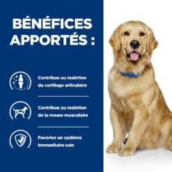Hill's Prescription Diet Canine J/D Mobility 1.5 Kg -Animal Compagnie Boutique 52742045740 4 prescription diet chien j d croquettes poulet 3 1