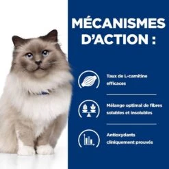 Hill's Prescription Diet Feline R/D 3 Kg -Animal Compagnie Boutique 52742048185 4 prescription diet chat r d croquettes poulet.jpg 1 1