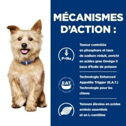 Hill's Prescription Diet Canine K/D 12 Kg -Animal Compagnie Boutique 52742918204 5 prescription diet chien k d croquettes poulet