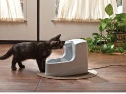 Pet Safe Fontaine Mini Drinkwell 1.2 L -Animal Compagnie Boutique 813h5qp5egl. sl1500 1