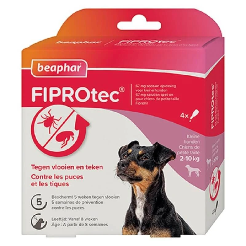 Beaphar Fiprotec Spot-on Chien 2 - 10 Kg X4 1 Beaphar Fiprotec Spot-on Chien 2 - 10 Kg X4