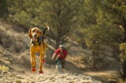 Ruffwear Bottines Grip Trex Rouge 51 Mm - Destockage -Animal Compagnie Boutique bottines ruffwear grip trex rouge 51 mm4