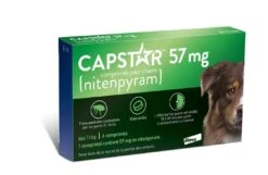 Capstar 57 Mg Pour Chien -Animal Compagnie Boutique capstar 57 mg pour chien 1