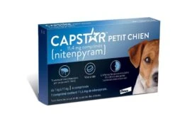 Capstar 11.4 Mg Petit Chien