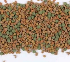 Care+ Cochon D'Inde 250 G -Animal Compagnie Boutique care cochon d inde 250 g3