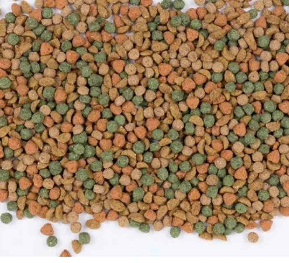 Care+ Lapin Junior 1.5 Kg 3 Care+ Lapin Junior 1.5 Kg – Image 3