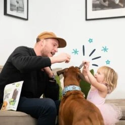 Edgard & Cooper Mach'sticks Fraise Et Menthe Grand Chien 240 G -Animal Compagnie Boutique chien dental adulte naturel menthe fraise 240g 3 1