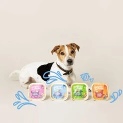 Edgard & Cooper Multipack Poulet Et Agneau Et Gibier Chien Adulte 6 X 100 G -Animal Compagnie Boutique chien multipack adulte naturel poulet agneau gibier 150gx6 3