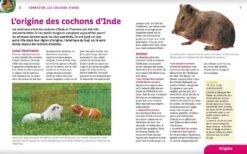 Livre - Cochons D'Inde -Animal Compagnie Boutique cochons d inde3