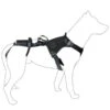Dimatex SALVATEX Harnais Hélitreuillable Noir Pour Chien