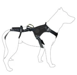 Dimatex SALVATEX Harnais Hélitreuillable Noir Pour Chien