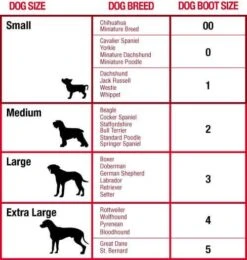 Botte De Protection Mikki T.4 -Animal Compagnie Boutique dog boot sizing mikki