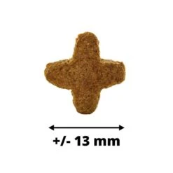 Dogteur Premium Low Grain Chats D’intérieur Volaille 450 G -Animal Compagnie Boutique dogteur croquettes chats da inta rieur volaille 450 g 6