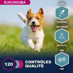 Eukanuba Chien Adulte Petite Et Moyenne Race Saumon & Orge 2.5 Kg -Animal Compagnie Boutique eukanuba chien adult petite et moyenne race saumon orge 4