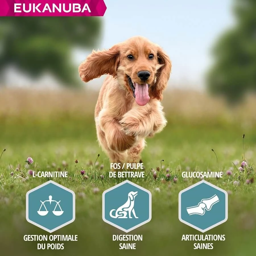 Eukanuba Chien Adulte Petite Et Moyenne Race Saumon & Orge 2.5 Kg – Image 5