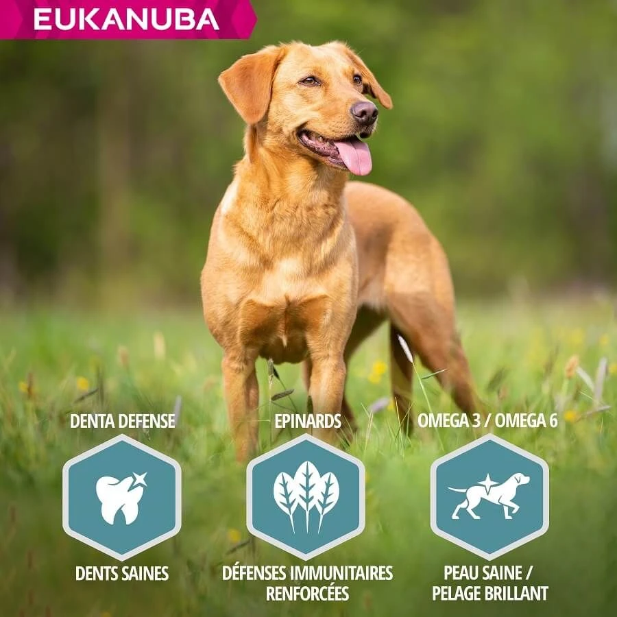 Eukanuba Chien Adulte Petite Et Moyenne Race Saumon & Orge 2.5 Kg – Image 6