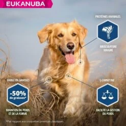 Eukanuba Chien Daily Care Surpoids Ou Stérilisé 12 Kg -Animal Compagnie Boutique eukanuba chien daily care surpoids ou st rilis 12 kg3