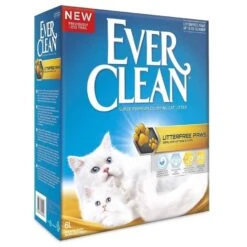 Ever Clean Litière Agglo Chaton/chat Poil Long 6 L