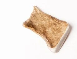 Evident Bois De Daim S