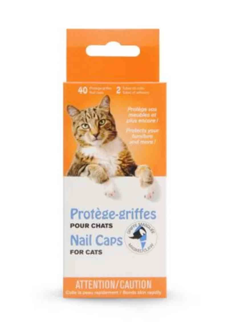 Protège-griffe Griffe Masquée Pour Chat Transparent M 1 Protège-griffe Griffe Masquée Pour Chat Transparent M