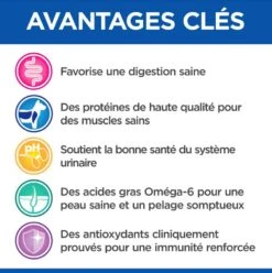 Hill's Science Plan VetEssentials Feline Adult Poulet 14 Kg -Animal Compagnie Boutique hill s vetessentials feline adult poulet 14 kg3