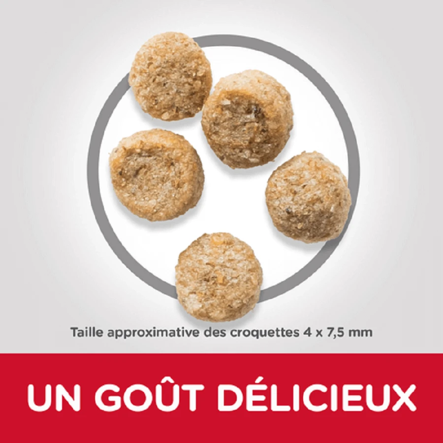 Hill's Science Plan Hill's Science Plan Canine Mature Adult 7+ Small & Mini Light 2.5 Kg – Image 2