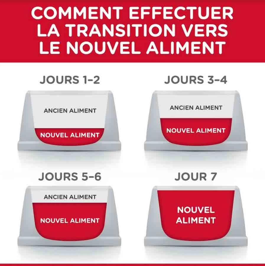 Hill's Science Plan Hill's Science Plan Chat Young Adult Sterilisé Poulet 15 Kg – Image 4