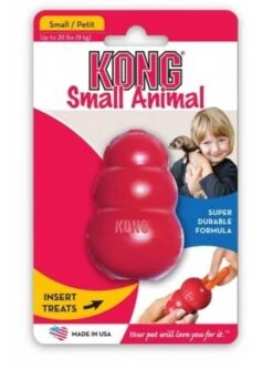 KONG Spécial Rongeurs 11 KONG Spécial Rongeurs -Animal Compagnie Boutique kong2