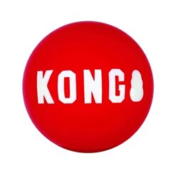 KONG Signature Ball Balle Pour Chien S X 2 -Animal Compagnie Boutique kong signature ball balle pour chien la compagnie des animaux 1 1