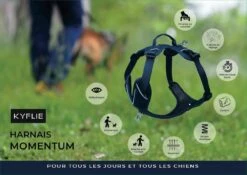 Kyflie Harnais Momentum Bleu XL -Animal Compagnie Boutique kyflie harnais momentum la compagnie des animaux 14