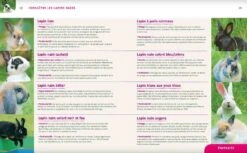 Livre - Lapins Nains -Animal Compagnie Boutique lapins nains3