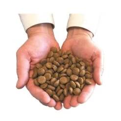 Canichef Croquettes BIO Chiot 2 Kg -Animal Compagnie Boutique main avec croquettes 3