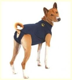 Medical Pet Shirt Chien XL