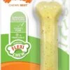 Nylabone Moderate Flexi Chew Os Au Poulet S