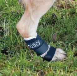 Orthese Balto Carpe Et Tarse XXS -Animal Compagnie Boutique orthese balto carpe et tarse3