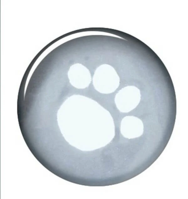 Trixie Imperméable Tarbes Pour Chien XS - Destockage 2 Trixie Imperméable Tarbes Pour Chien XS - Destockage – Image 2