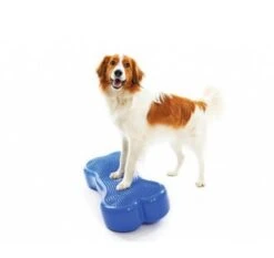 Plateforme Os Fitpaws Pour Chien