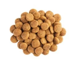 Purina Proplan Canine NeuroCare NC 12 Kg -Animal Compagnie Boutique purina proplan canine neurocare nc2 1