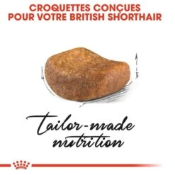 Royal Canin British Shorthair Adult 10 Kg -Animal Compagnie Boutique royal canin british shorthair adult 10 kg 3