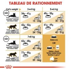 Royal Canin British Shorthair Adult 10 Kg -Animal Compagnie Boutique royal canin british shorthair adult 10 kg 6