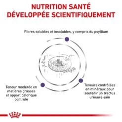 Royal Canin Vet Care Neutered Adult Small Dog 800 Grs -Animal Compagnie Boutique royal canin vet care neutered adult small dog 800 grs 3