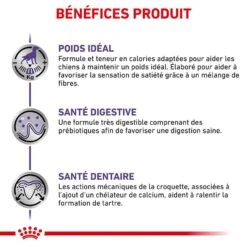 Royal Canin Vet Care Neutered Adult Small Dog 800 Grs -Animal Compagnie Boutique royal canin vet care neutered adult small dog 800 grs 4