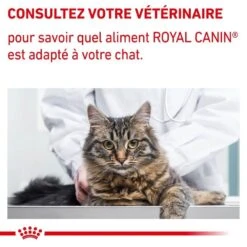Royal Canin Vet Chat Neutered Satiety Balance 400 G -Animal Compagnie Boutique royal canin vet chat neutered satiety balance 400 g 10