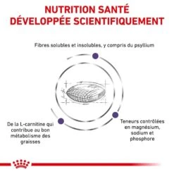Royal Canin Vet Chat Neutered Satiety Balance 400 G -Animal Compagnie Boutique royal canin vet chat neutered satiety balance 400 g 4
